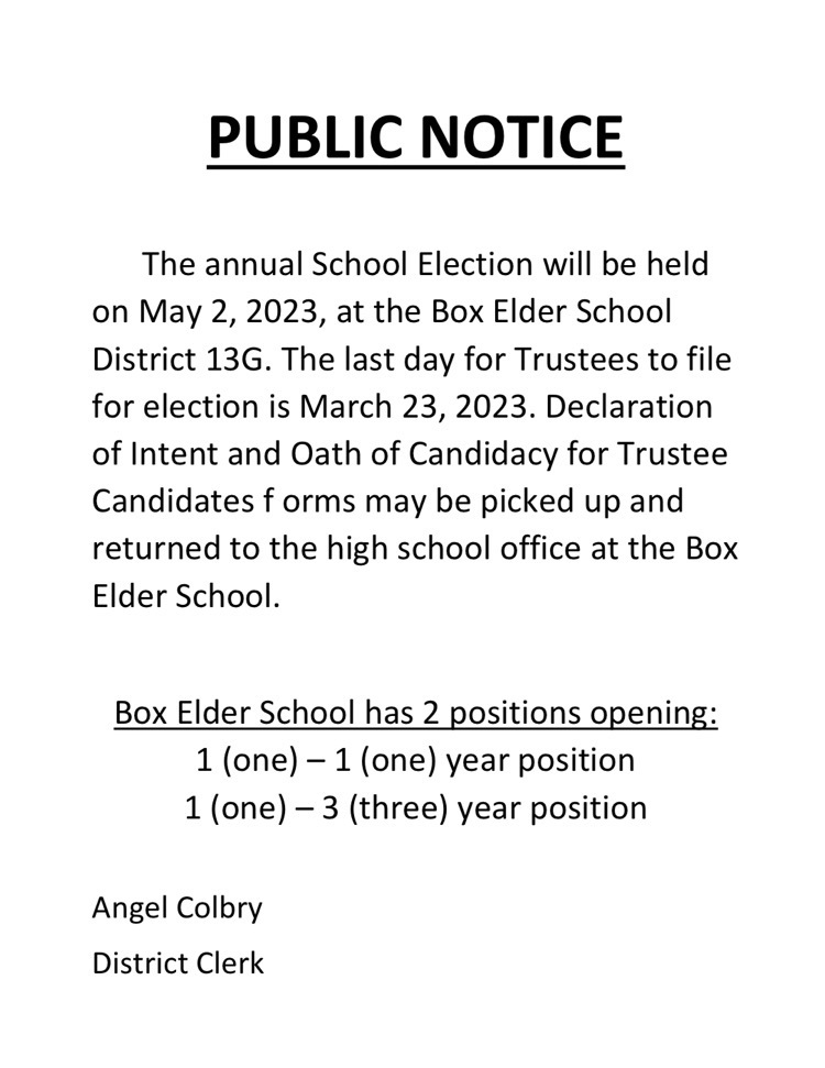 school board election post